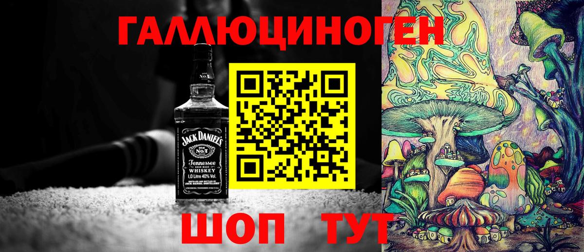 Псилоцибиновые грибы прущие грибы  Вход с VPN  Пушкино  Галлюциногенные грибы Psilocybine cubensis 